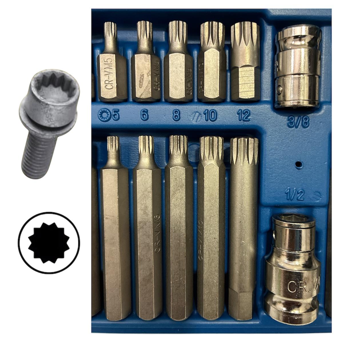 Puntas para Destornillador Torx, Allen y Triple Square o 12 puntas x 40 Piezas